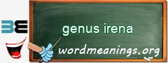 WordMeaning blackboard for genus irena